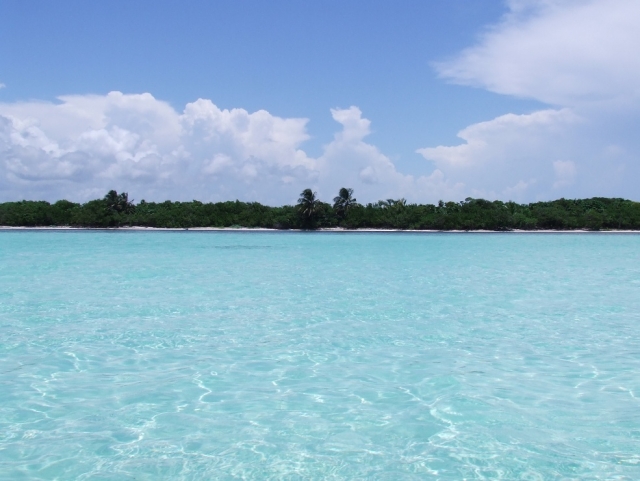 Dia de pesca en quintanaroo 